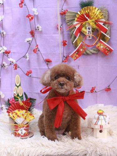 20230131フーちゃん